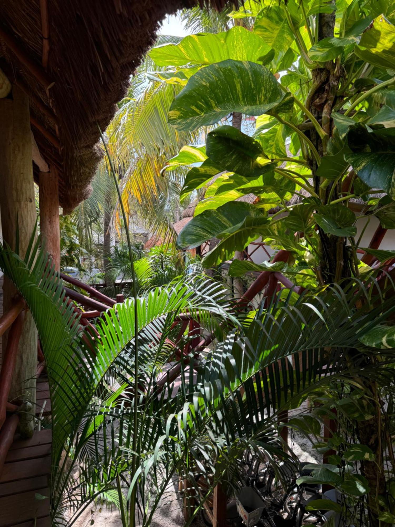 Kin Ha Tulum Hotel エクステリア 写真