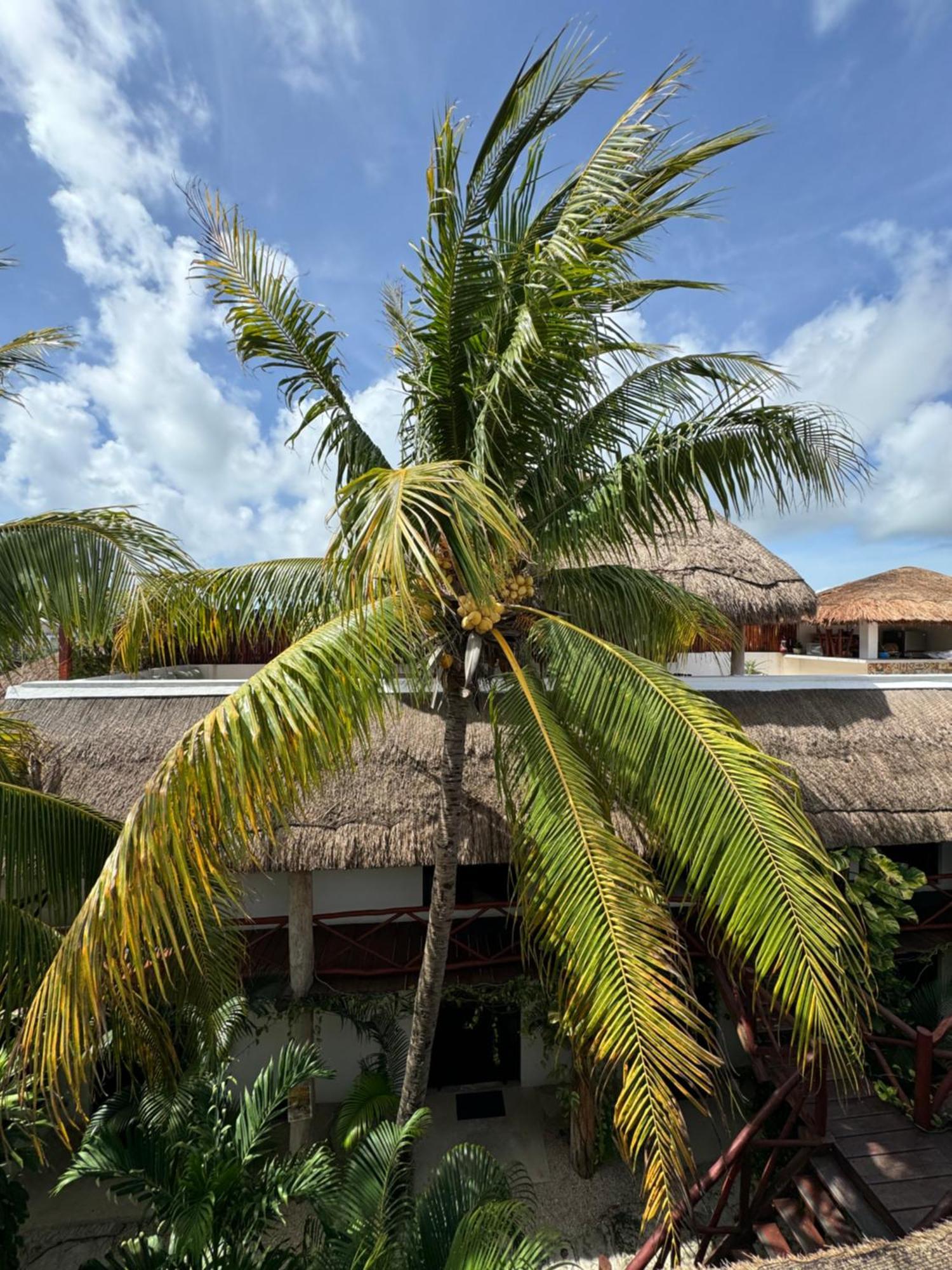 Kin Ha Tulum Hotel エクステリア 写真